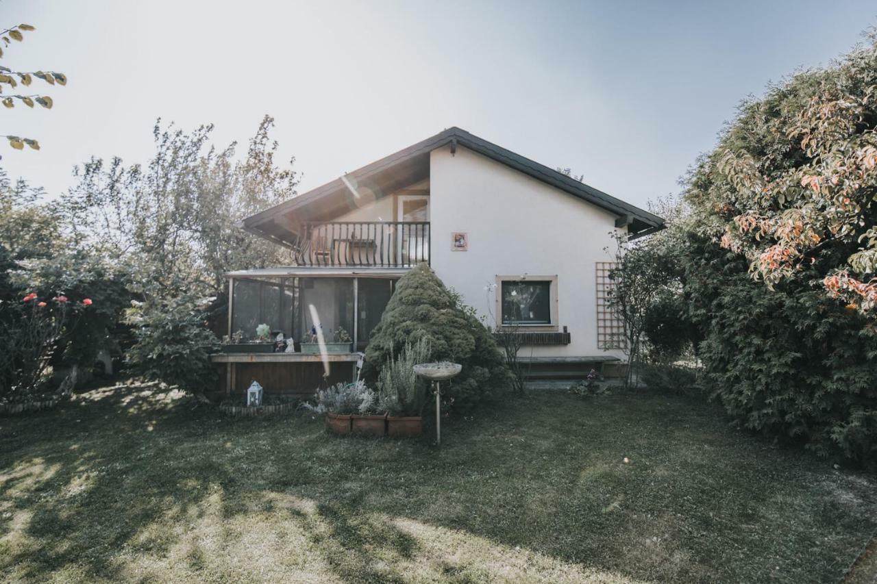 Apartment Garden House With Parking Lot Wien