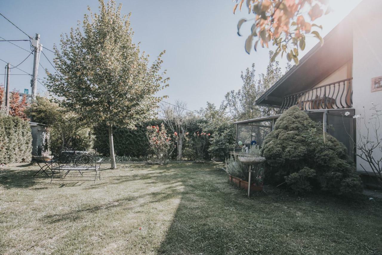 Apartment Garden House With Parking Lot Wien